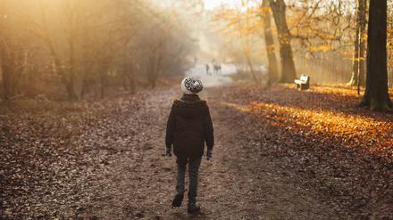 Ein Spaziergang tut Körper und Geist gut, sagen Mediziner.