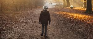 Ein Spaziergang tut Körper und Geist gut, sagen Mediziner.