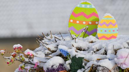 Frisch mit Schnee bedeckt ist eine Dekoration zum Osterfest. In der vergangenen Nacht hat es erneut in weiten Teilen von Berlin und Brandenburg Schnee gegeben. 