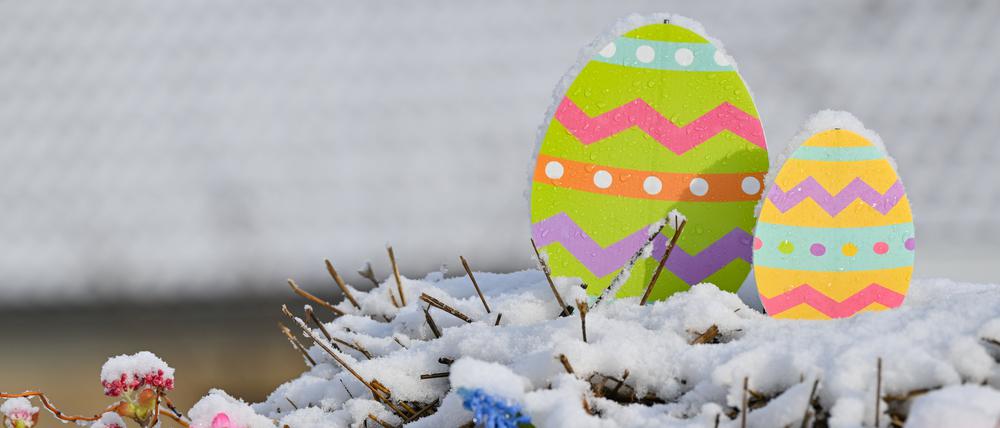 Frisch mit Schnee bedeckt ist eine Dekoration zum Osterfest. In der vergangenen Nacht hat es erneut in weiten Teilen von Berlin und Brandenburg Schnee gegeben. 