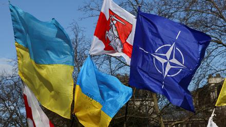 Flaggen der Ukraine und der Nato mit einer historischen Flagge von Belarus bei einer Kundgebung zur Unterstützung der Ukraine in Brüssel.