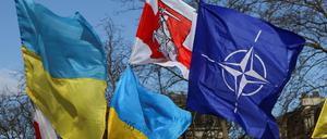 Flaggen der Ukraine und der Nato mit einer historischen Flagge von Belarus bei einer Kundgebung zur Unterstützung der Ukraine in Brüssel.