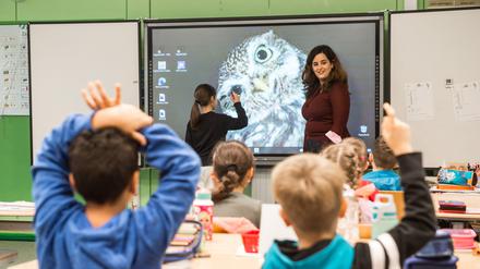 Die BTU richtet in Senftenberg ein neues Institut ein, an dem Grundschullehrkräfte ausgebildet werden.