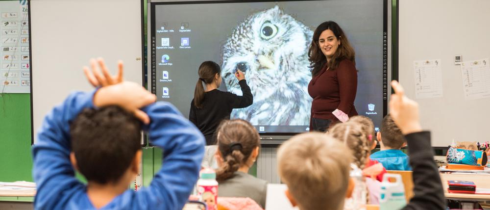 Die BTU richtet in Senftenberg ein neues Institut ein, an dem Grundschullehrkräfte ausgebildet werden.