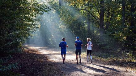 Nicht immer flach. Berlin kann auch anders.