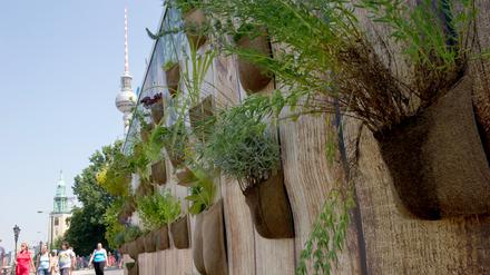 Mit 1,8 Millionen Euro soll das nachhaltiges Wirtschaften in Berlin gefördert werden. Neben Wirtschaftlichkeit geraten dann auch soziale und ökologische Faktoren in den Blick.
