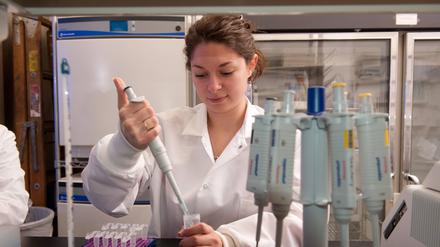 Wie attraktiv bleibt Deutschland für Spitzenforscher nach einer Reform des Wissenschaftszeitvertragsgesetzes?
