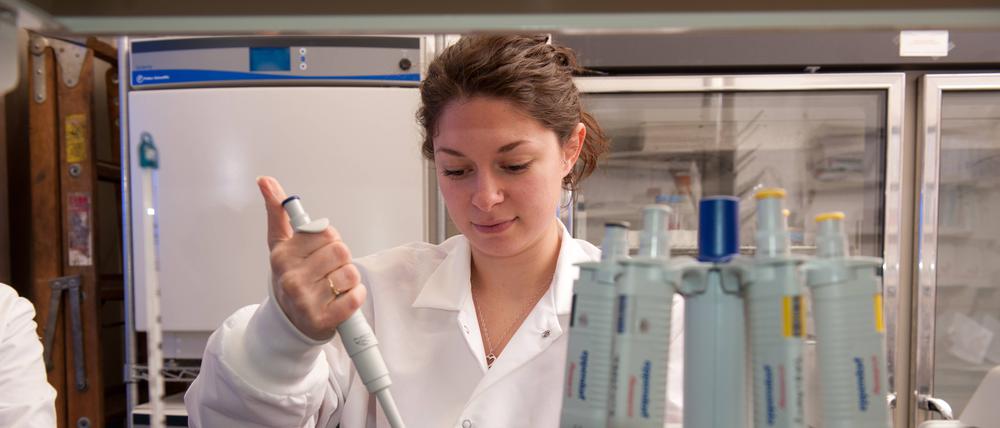 Wie attraktiv bleibt Deutschland für Spitzenforscher nach einer Reform des Wissenschaftszeitvertragsgesetzes?