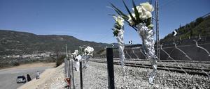 Blumen an der Unglücksstelle nahe Larisa.