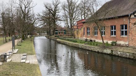 Fluss Stepenitz.