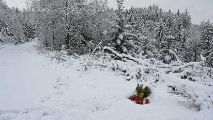 Luise soll von zwei Mädchen im Alter von 12 und 13 Jahren erstochen worden sein.