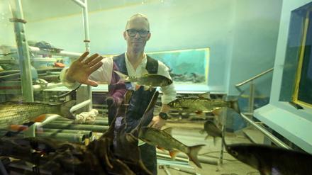 Naturkundemuseum Potsdam, Aquarium wird saniert. Direktor des Naturkundemuseums Potsdam, Dr. Jobst Pfaender.