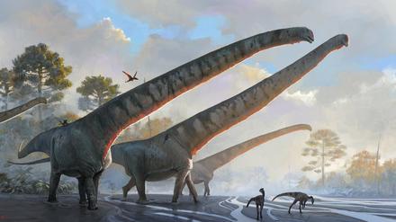 Die Saurier der Art Mamenchisaurus sinocanadorums waren im heutigen Ostasien und anderen Teilen der Welt verbreitet.