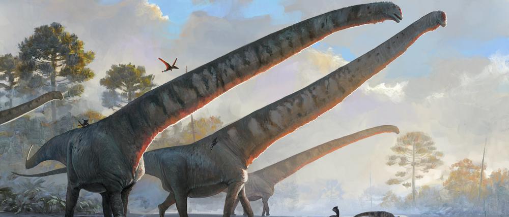 Die Saurier der Art Mamenchisaurus sinocanadorums waren im heutigen Ostasien und anderen Teilen der Welt verbreitet.