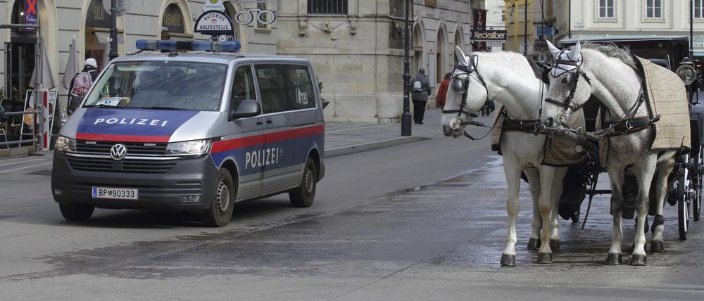 Pferdekutsche in Wien