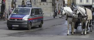 Pferdekutsche in Wien