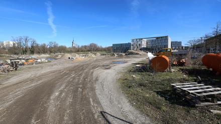Hier zwischen Hauptbahnhof und Freundschaftsinsel könnte die neue Jugendfreizeitfläche entstehen.
