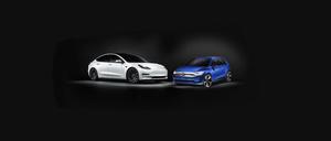 Volkswagen VW Tesla