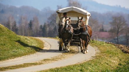 Eine Pferdekutsche unterwegs bei Altheim auf der frühlingshaften Schwäbischen Alb.