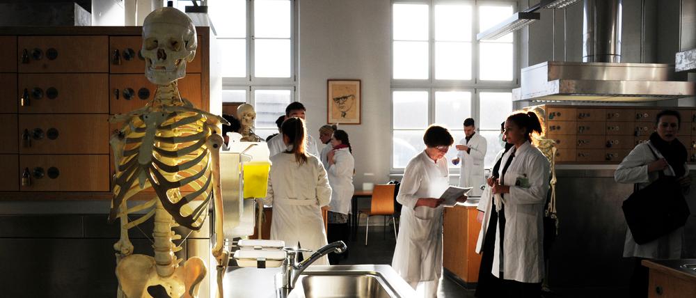 Im ländlichen Raum sind Ärzte Mangelware. Brandenburg will daher eine komplett neue Medizinerausbildung aufbauen.