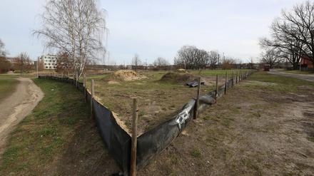 Auf dieser Brache am Kossätenweg in Golm sollen Wohnungen für Geflüchtete entstehen.