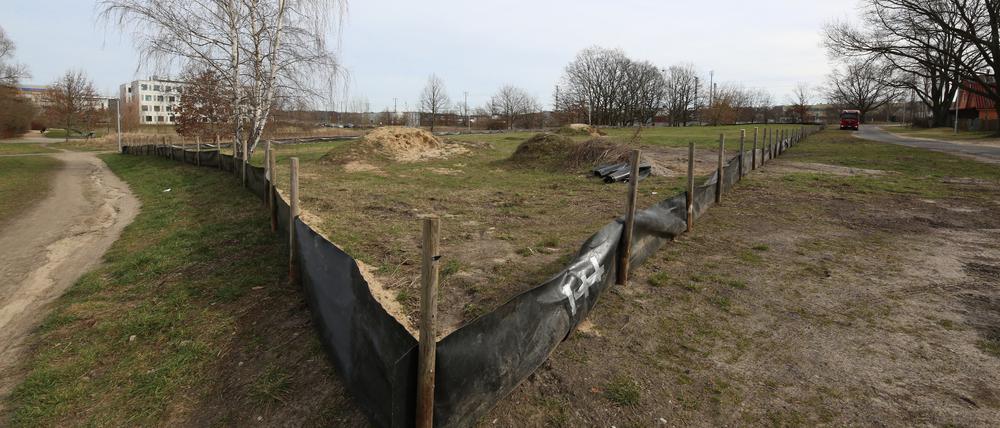 Auf dieser Brache am Kossätenweg in Golm sollen Wohnungen für Geflüchtete entstehen.