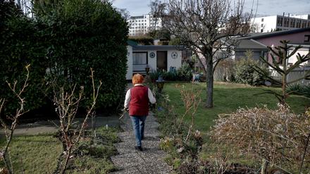 Eine Frau trägt verdorrte Zweige in ihrem Schrebergarten in einer Kleingartenanlage nahe der Bornholmer Brücke.