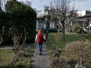 Kleingartenanlage in Berlin-Pankow.