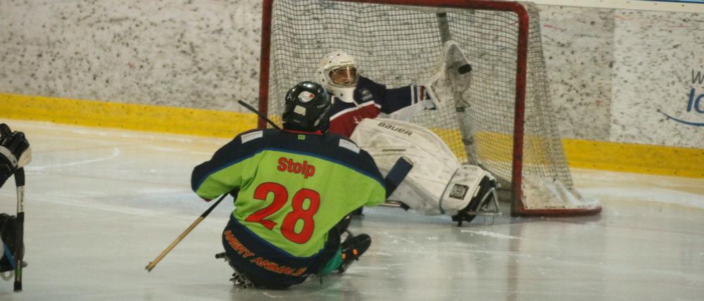 Para Eishockey, Fotos sind von Alexander Streblow
