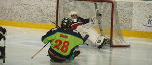 Para Eishockey, Fotos sind von Alexander Streblow