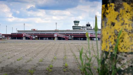 Viel Raum. Mehr als 200 Hektar stehen in Tegel bereit für Wohnen, Wissenschaft und Wirtschaft. 