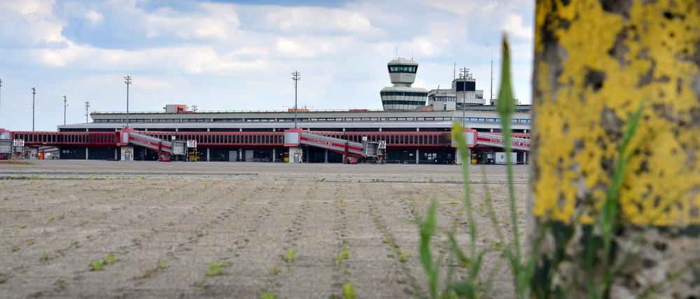 Viel Raum. Mehr als 200 Hektar stehen in Tegel bereit für Wohnen, Wissenschaft und Wirtschaft. 