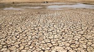 Reale Folge des Klimawandels: Es wird immer heißer, Seen trocknen aus.