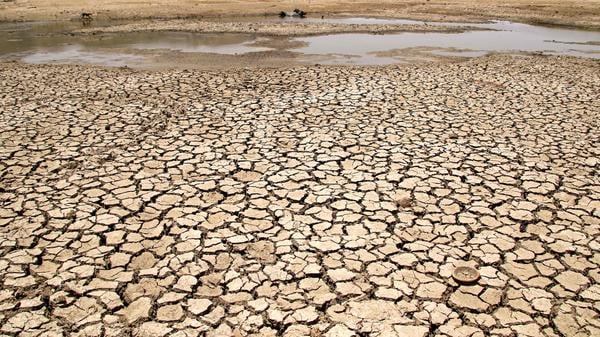 Reale Folge des Klimawandels: Es wird immer heißer, Seen trocknen aus.