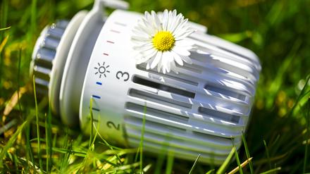 Heizungsthermostat mit Gänseblümchen liegt im Gras, Symbolfoto für nachhaltiges Heizen und Klimaschutz / action press