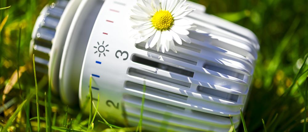 Heizungsthermostat mit Gänseblümchen liegt im Gras, Symbolfoto für nachhaltiges Heizen und Klimaschutz / action press