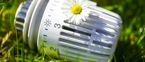 Heizungsthermostat mit Gänseblümchen liegt im Gras, Symbolfoto für nachhaltiges Heizen und Klimaschutz / action press