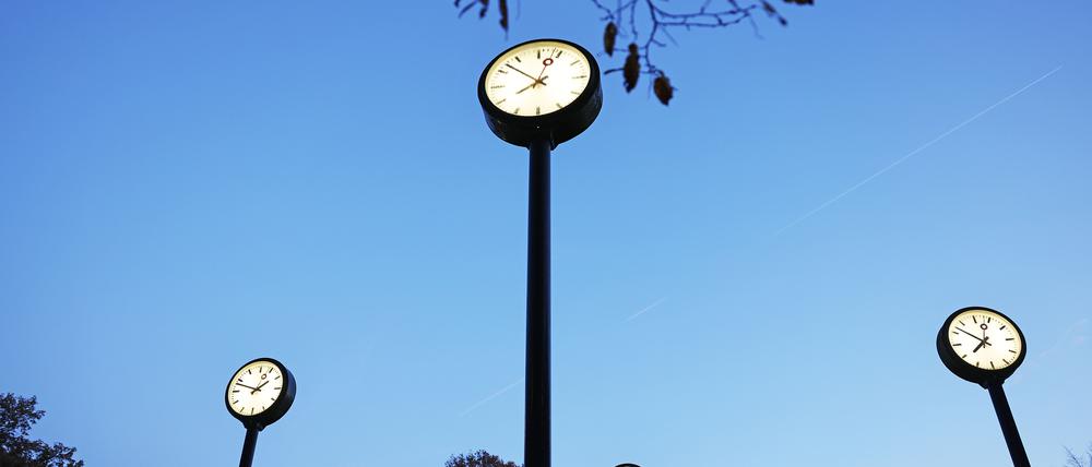 Im Körper tickt eine innere Uhr. Das Start-up Timeteller bestimmt sie.