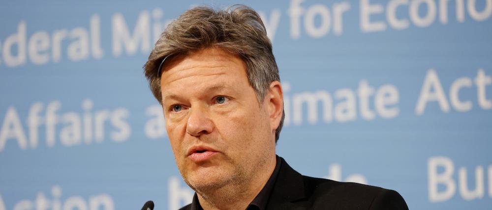 Bundeswirtschaftsminister Robert Habeck.