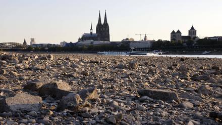 Extrem geringe Wasserstände der Flüsse im Sommer 2022 beeinträchtigten die Schiffbarkeit, wie etwa hier am Rhein bei Köln.