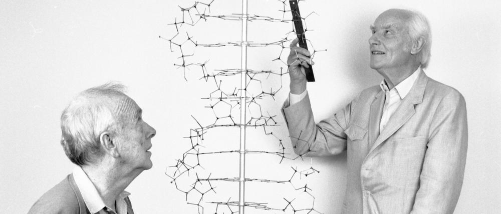 Watson und Crick mit einer Nachbildung ihres DNA-Modells.