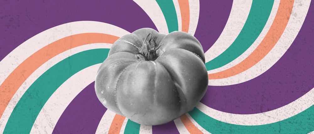 Eine Tomatensorte lässt dieser Tage die Herzen der Feinschmecker höher schlagen. Die „Schwarze von der Krim“ heißt sie, und sie besticht in Look und Geschmack. Eine Liebeserklärung.