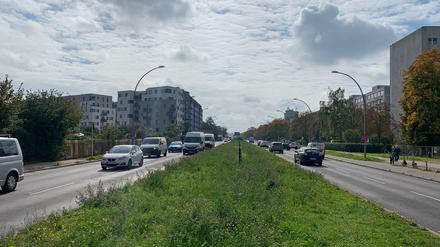 Die Prenzlauer Promenade in Pankow.