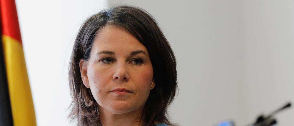 Die deutsche Außenministerin Annalena Baerbock und ihr nordmazedonischer Amtskollege Bujar Osmani (nicht im Bild) sprechen mit Reportern in Skopje.