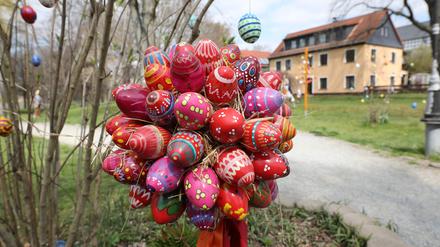 11.04.2019, Thüringen, Langenwetzendorf: Bunt bemalte Ostereier hängen an einem Strauch im Park.
