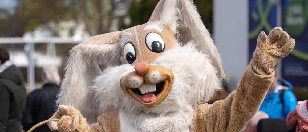 Ein Mensch in einem Osterhasenkostüm verteilt im Egapark Süßigkeiten.