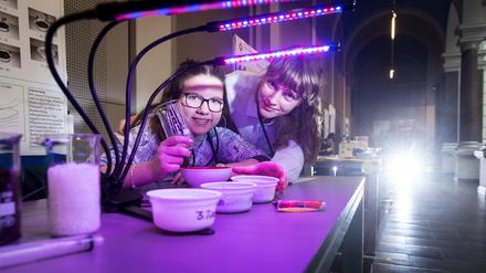 Finja, 14 (li.) und Linnea, 14, erforschen die Wirkung von Plastik im Boden auf das Wachstum von Radieschen. 
