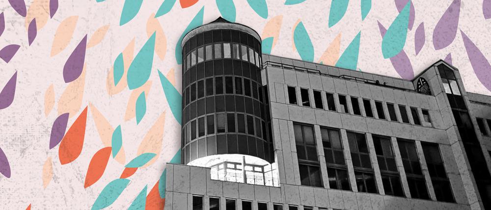 Neu in Berlin – Greenhouse Tempelhof