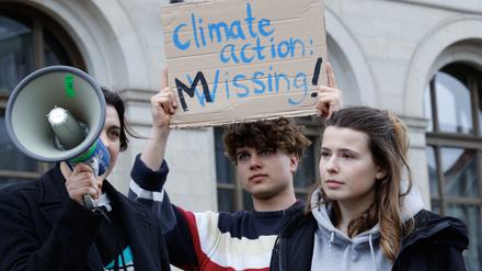 Luisa Neubauer bei einer Demo von Fridays For Future 