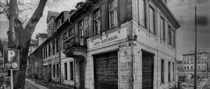 „Auf den Hund gekommen“ heißt die neue Ausstellung des Fotografen Peter Frenkel.